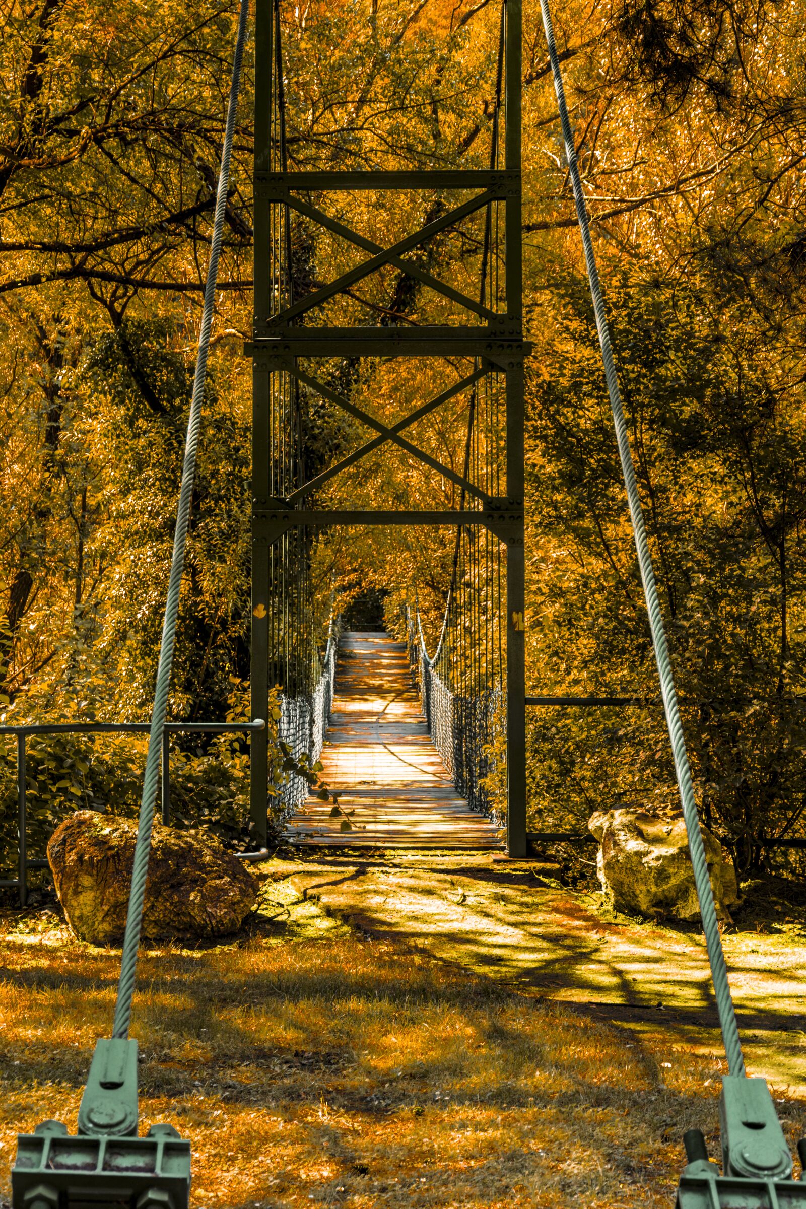 Nikon D7200 sample photo. Brigde, wish, photography photography