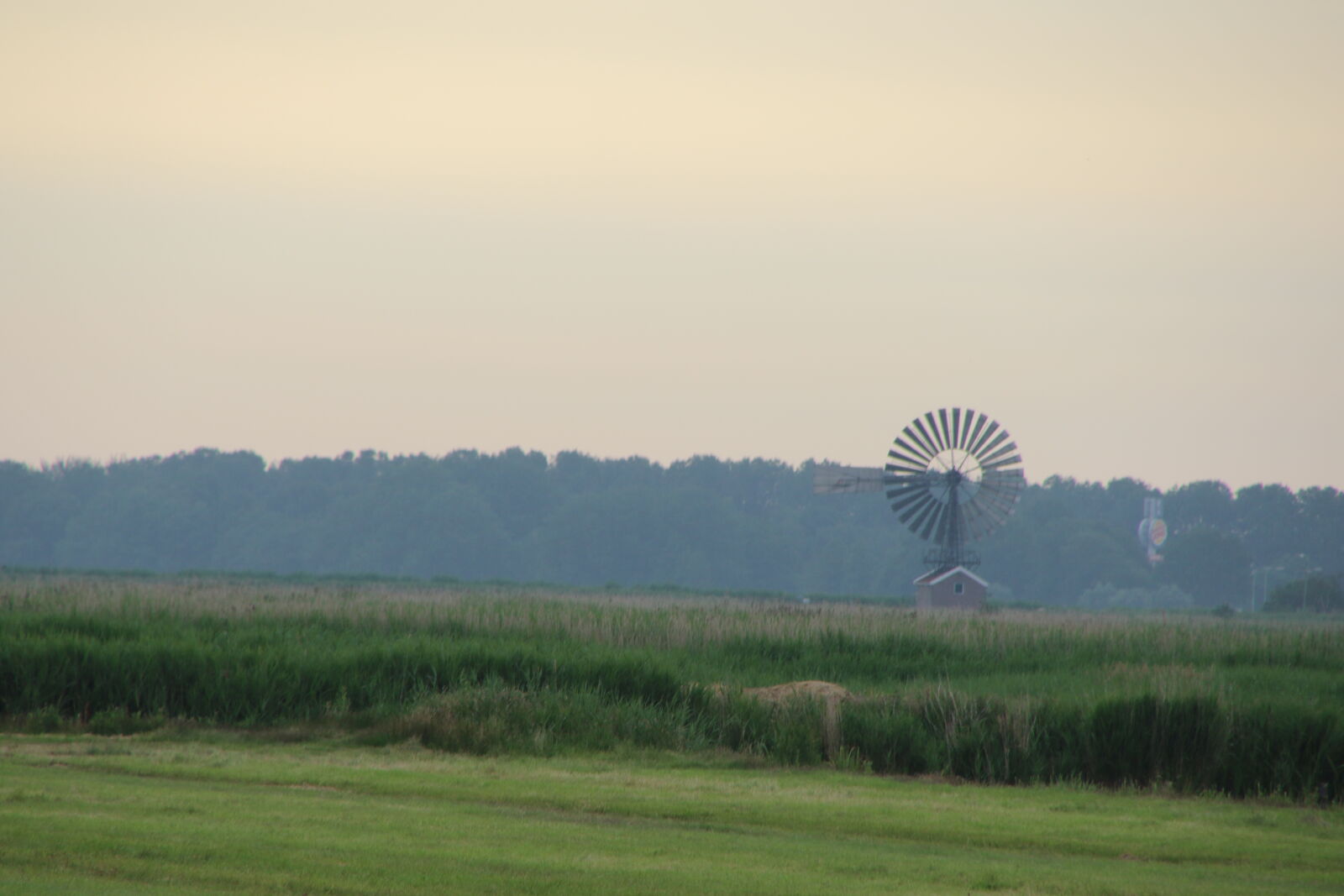 Canon EOS 7D Mark II sample photo. Countryside, dutch, grass, grass photography
