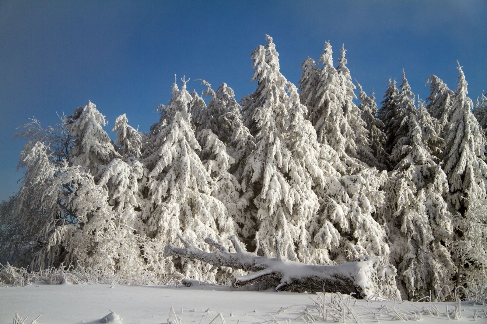 Canon EOS 7D sample photo. Winter, snow, wintry photography