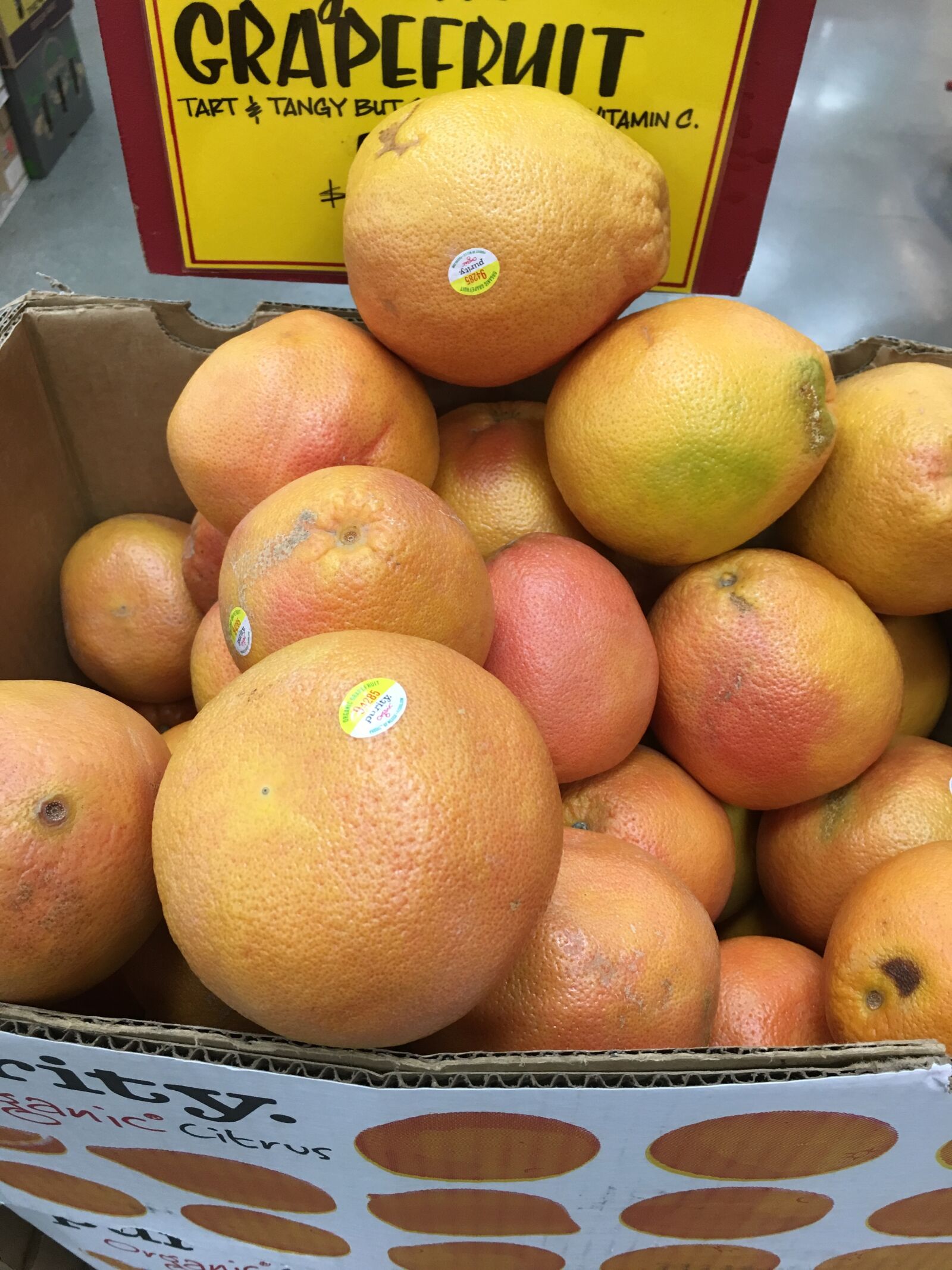 Apple iPhone 6s sample photo. Fruit, produce, grapefruit photography