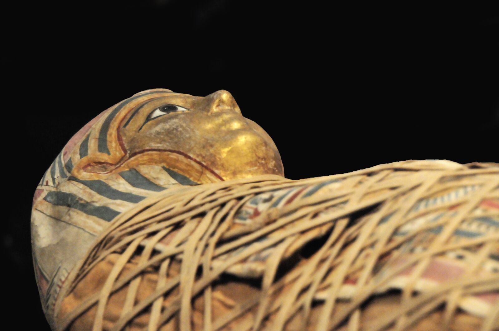 Nikon D300 sample photo. Sarcophagus, egypt, antique photography
