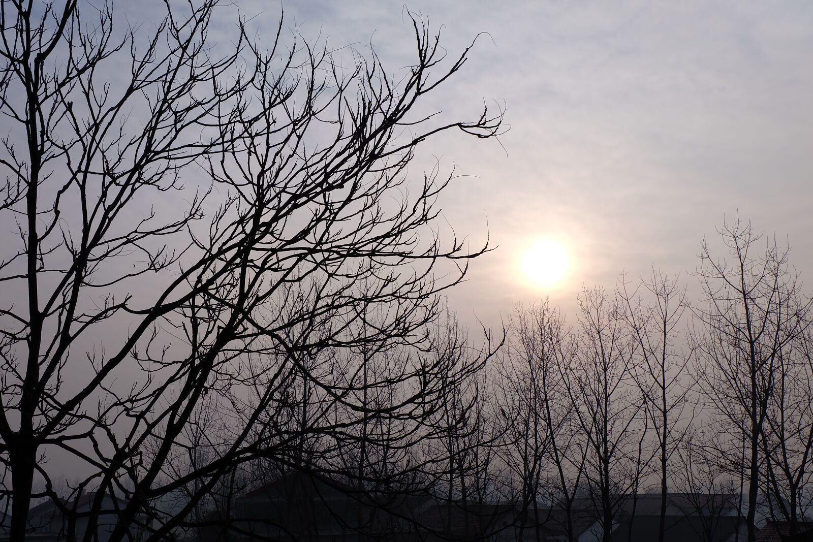 Fujifilm X-A1 sample photo. Trees, country, kaihuo photography