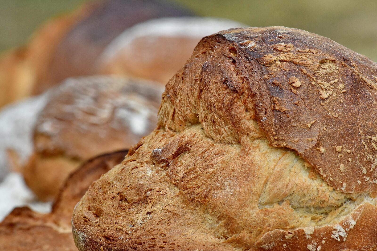 Nikon D5500 sample photo. Bread, breakfast, fresh, homemade photography