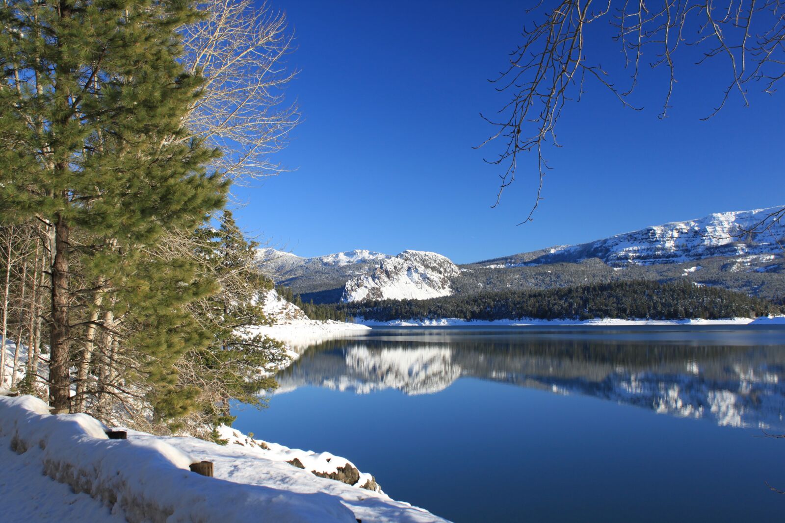 Canon EOS 500D (EOS Rebel T1i / EOS Kiss X3) sample photo. Winter, wonderland, snow photography