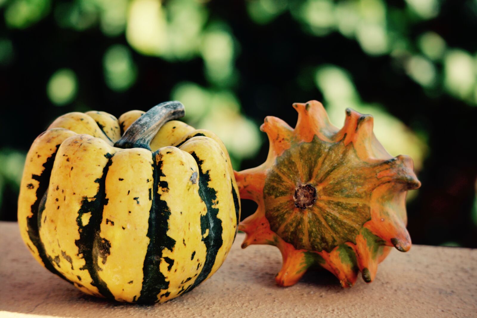 Canon EOS M sample photo. Halloween, halloween party, pumpkins photography