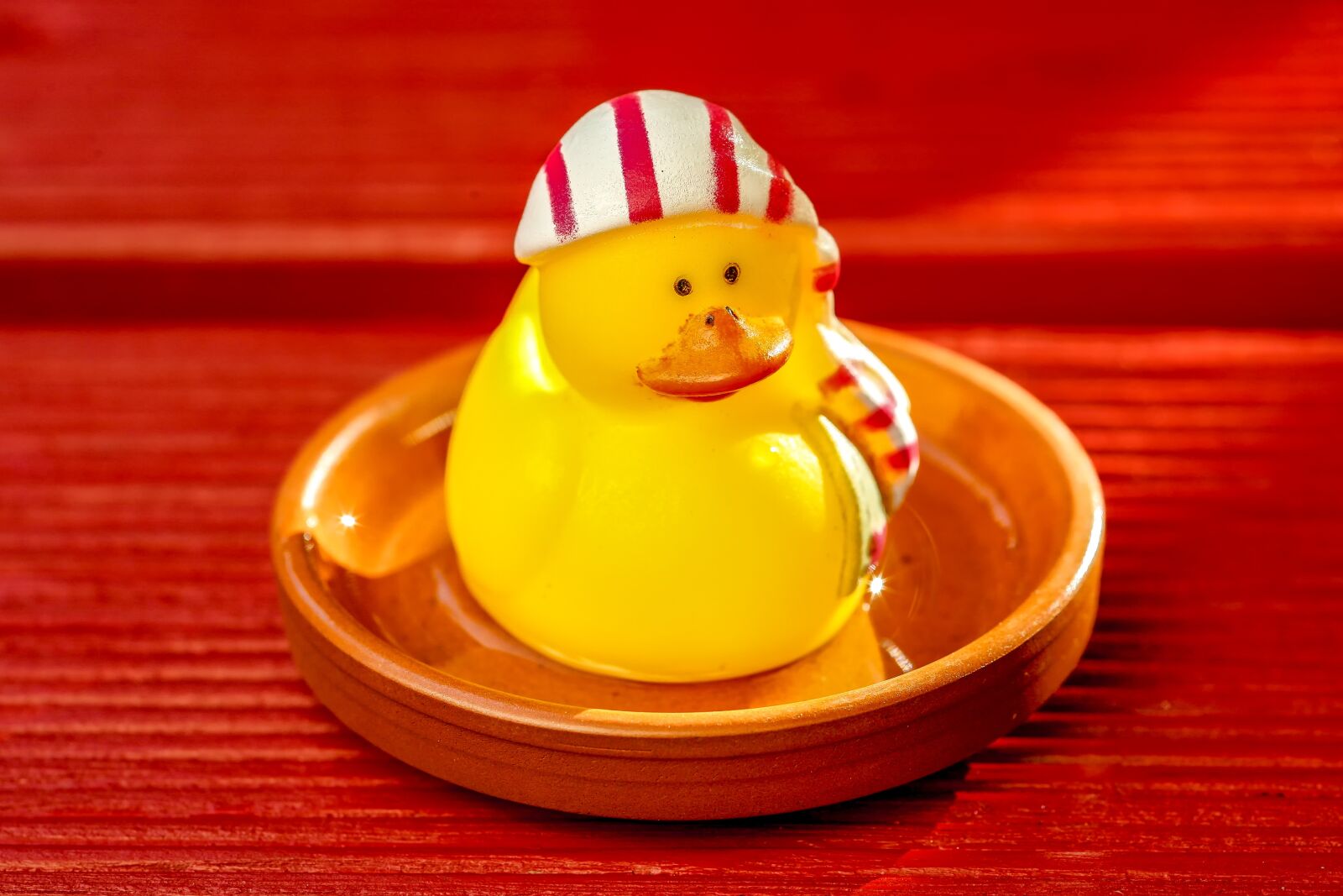 Canon EOS 5D sample photo. Toys, duck, rubber duck photography