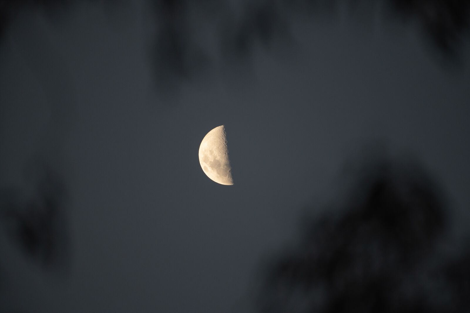Nikon D850 sample photo. Moon, lunar, moonlight photography