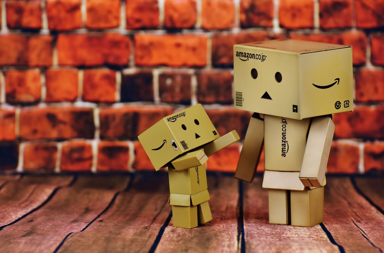 Nikon D7200 sample photo. Danbo, mom and child photography