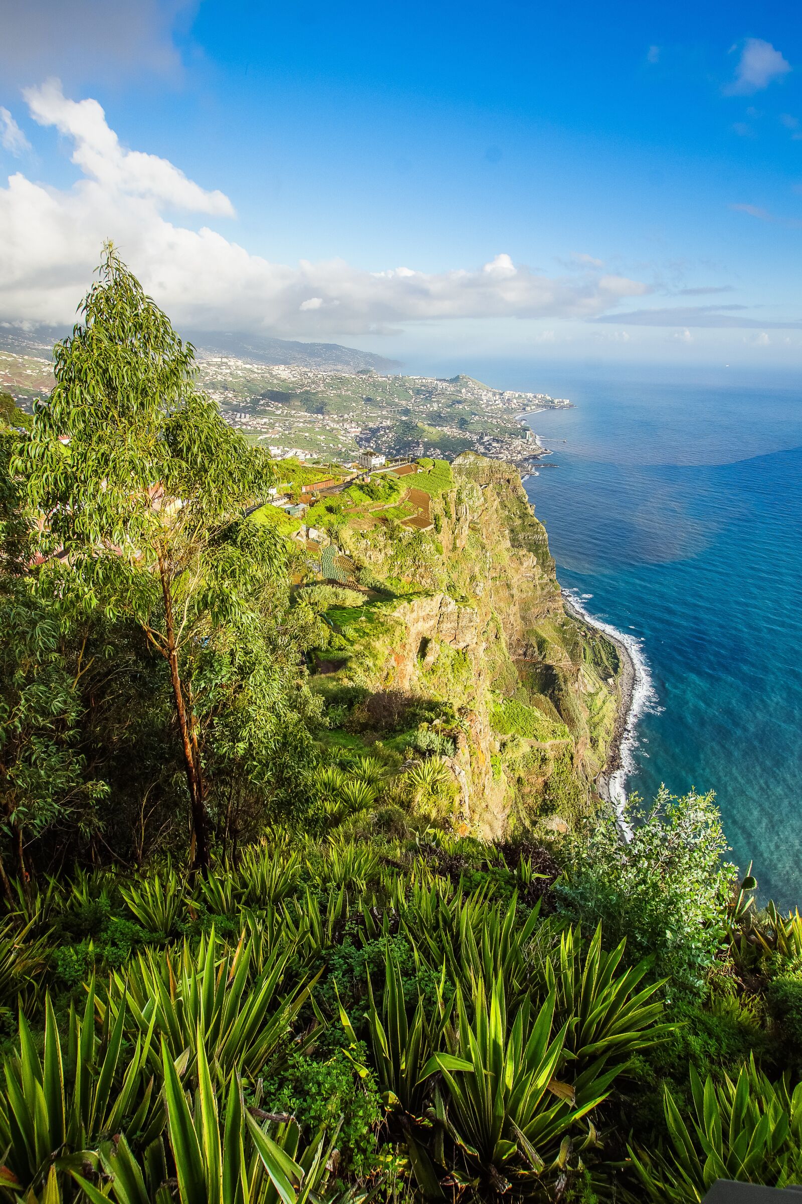 10-20mm F3.5 sample photo. Portugal, madeira, cabo girao photography