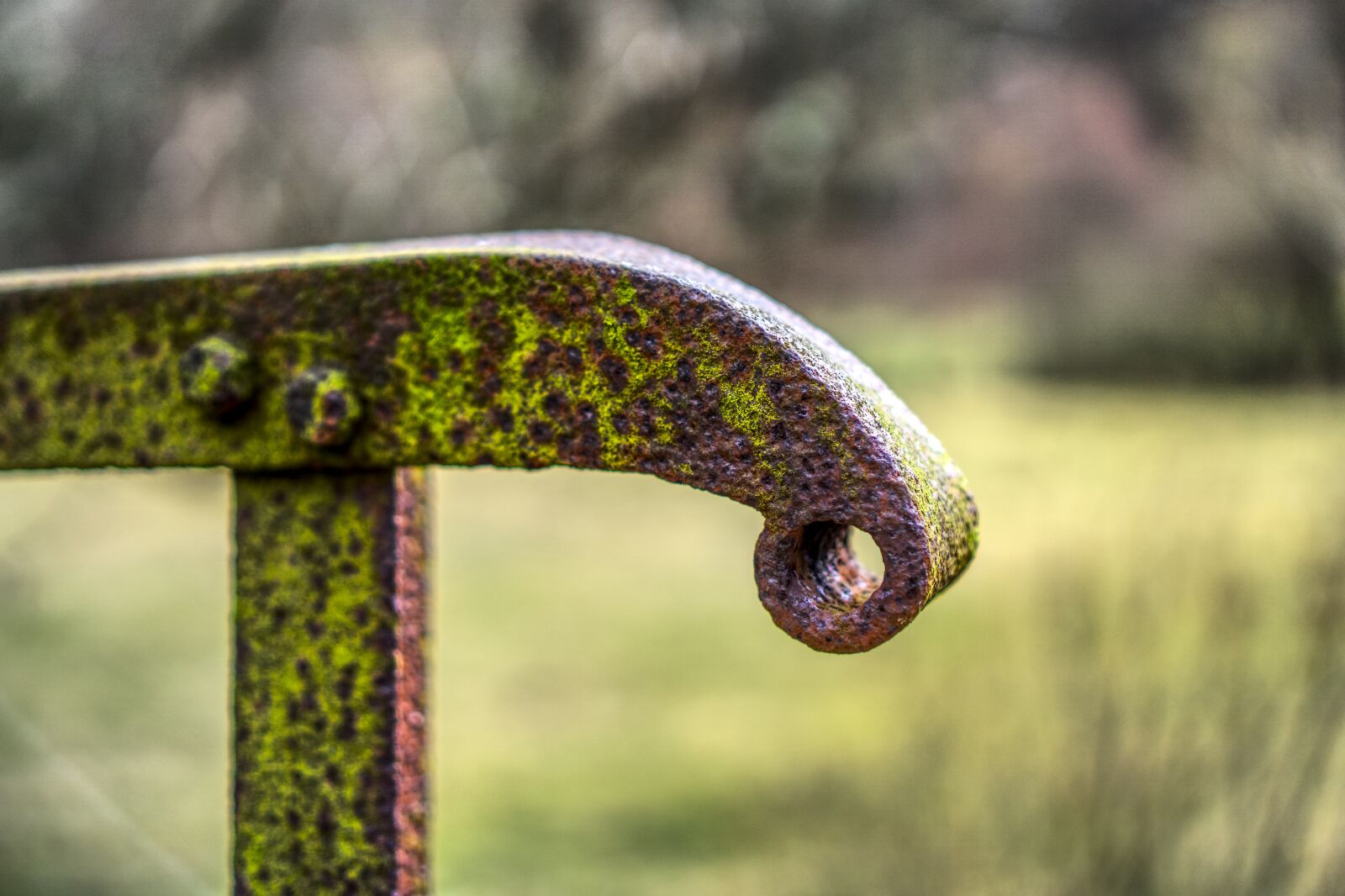 Sony a6000 + Sony E 35mm F1.8 OSS sample photo. Railing, bridge, rusty photography