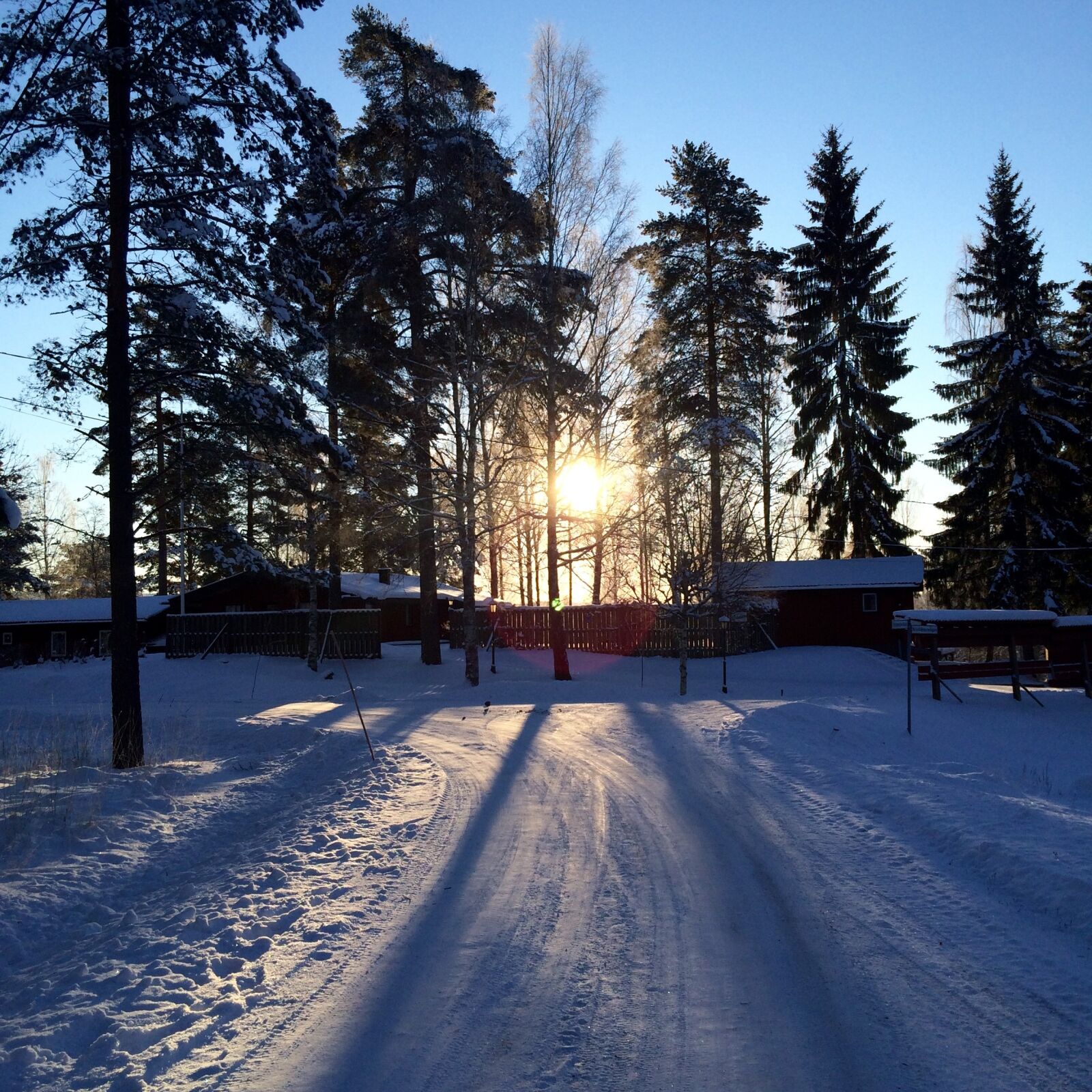 iPhone 5s back camera 4.15mm f/2.2 sample photo. Snow, solar, winter photography
