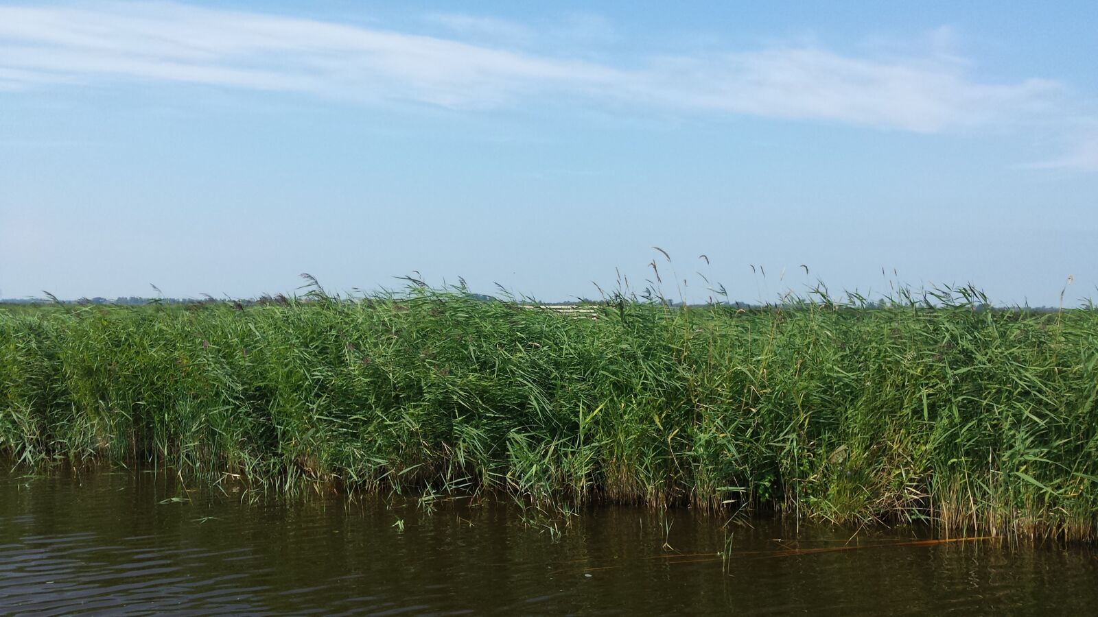 Samsung Galaxy S4 sample photo. Polder, nature, noord-holland photography