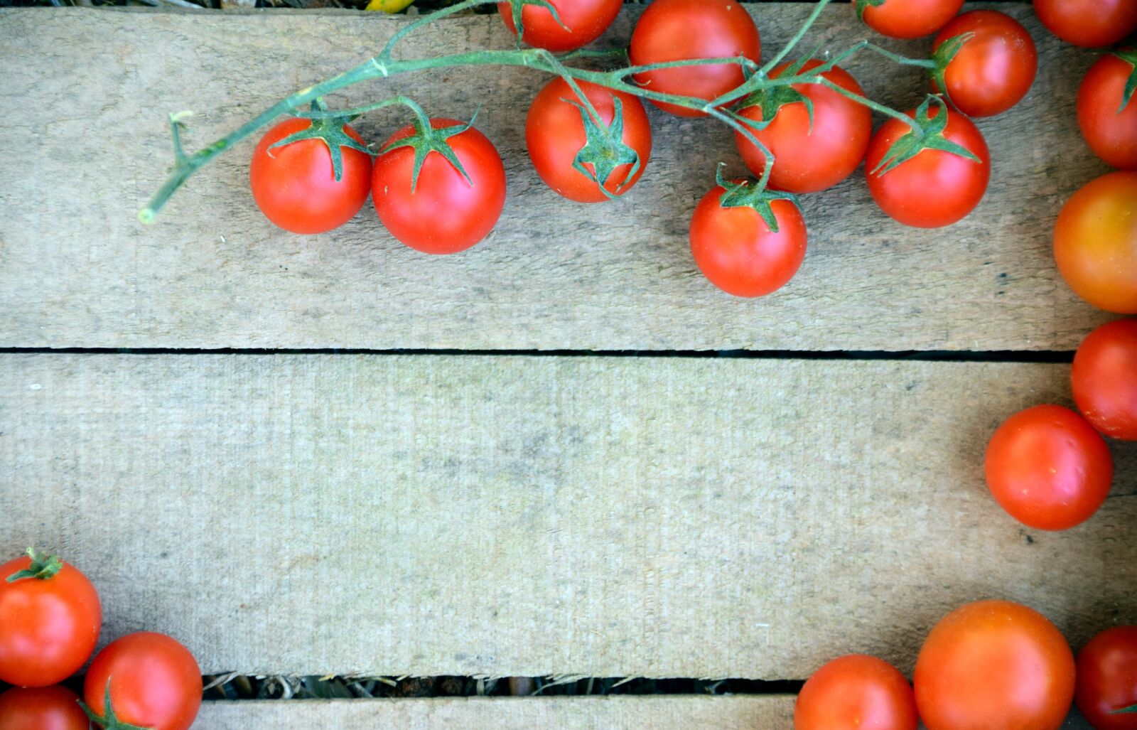 Nikon D3300 sample photo. Vegetable crate, tomato crate photography