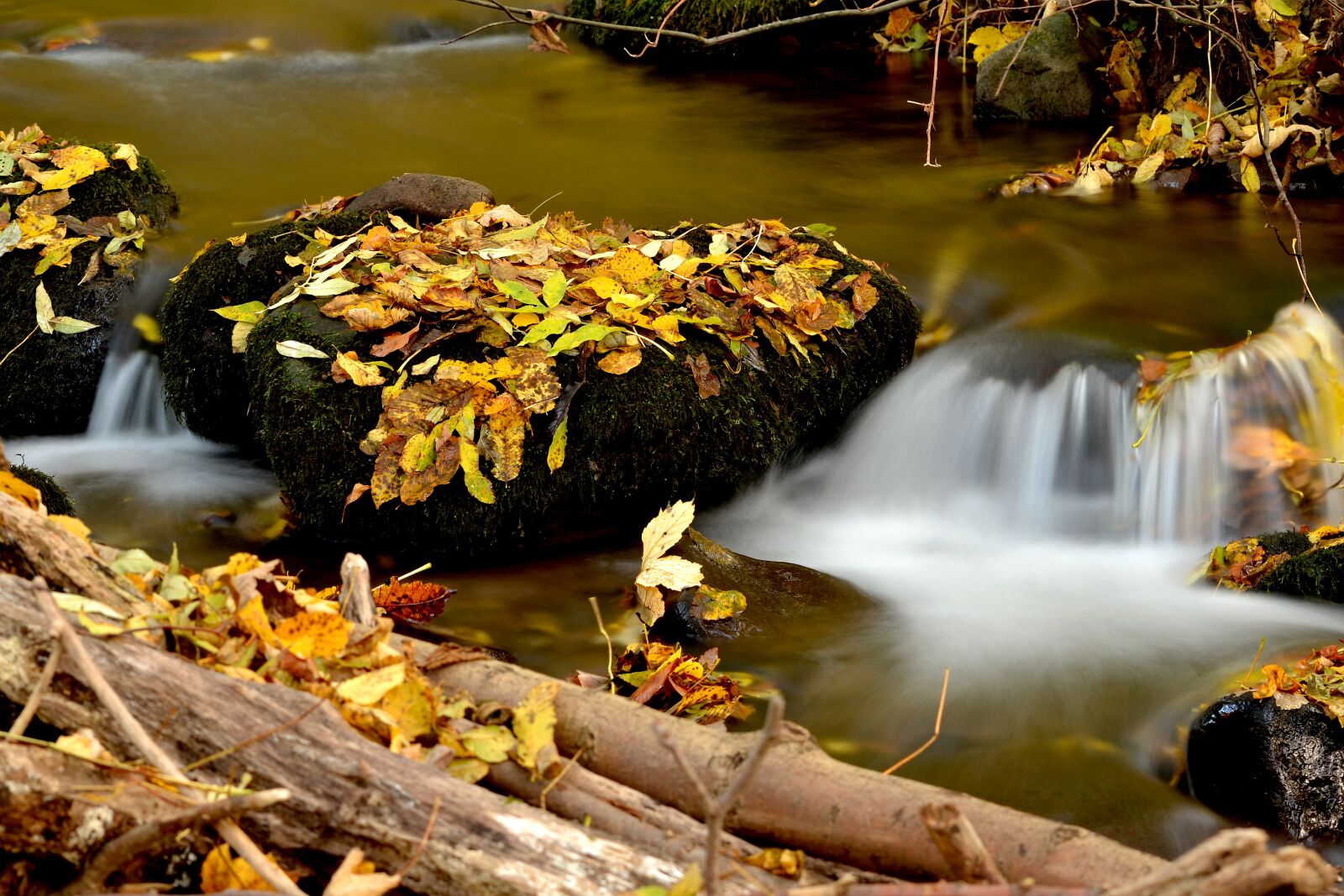 Nikon D3100 sample photo. Autumn, water, nature photography