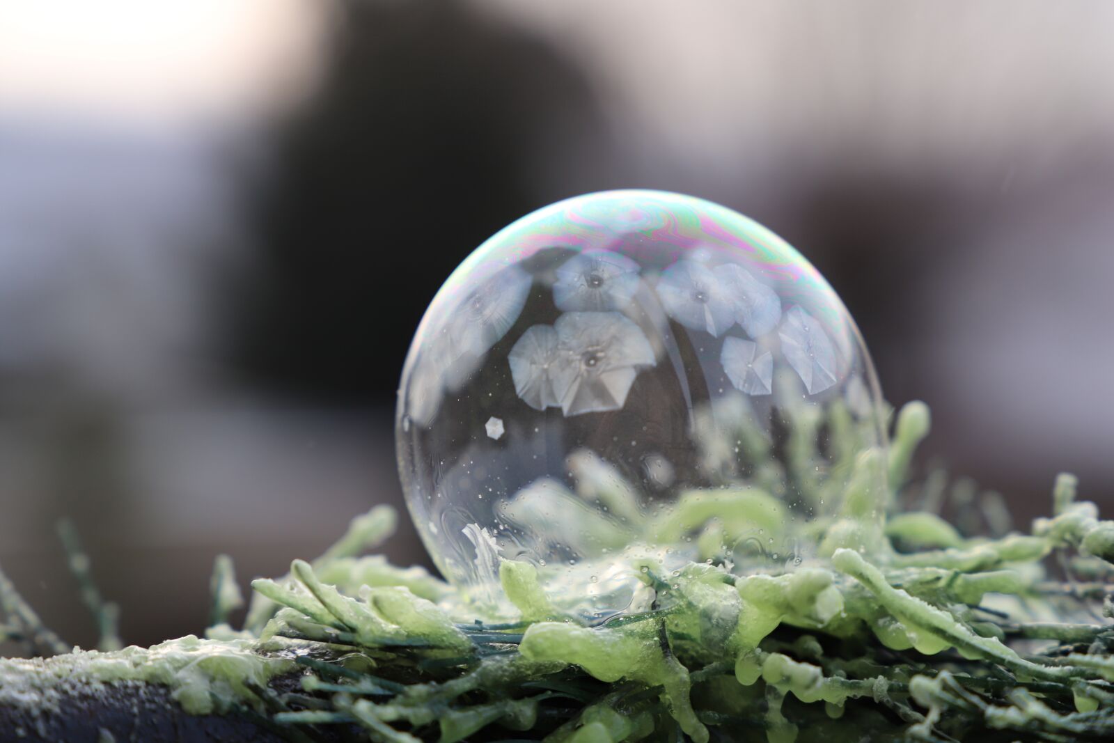 Canon EOS 6D Mark II sample photo. Bubbles in freezing temperatures photography
