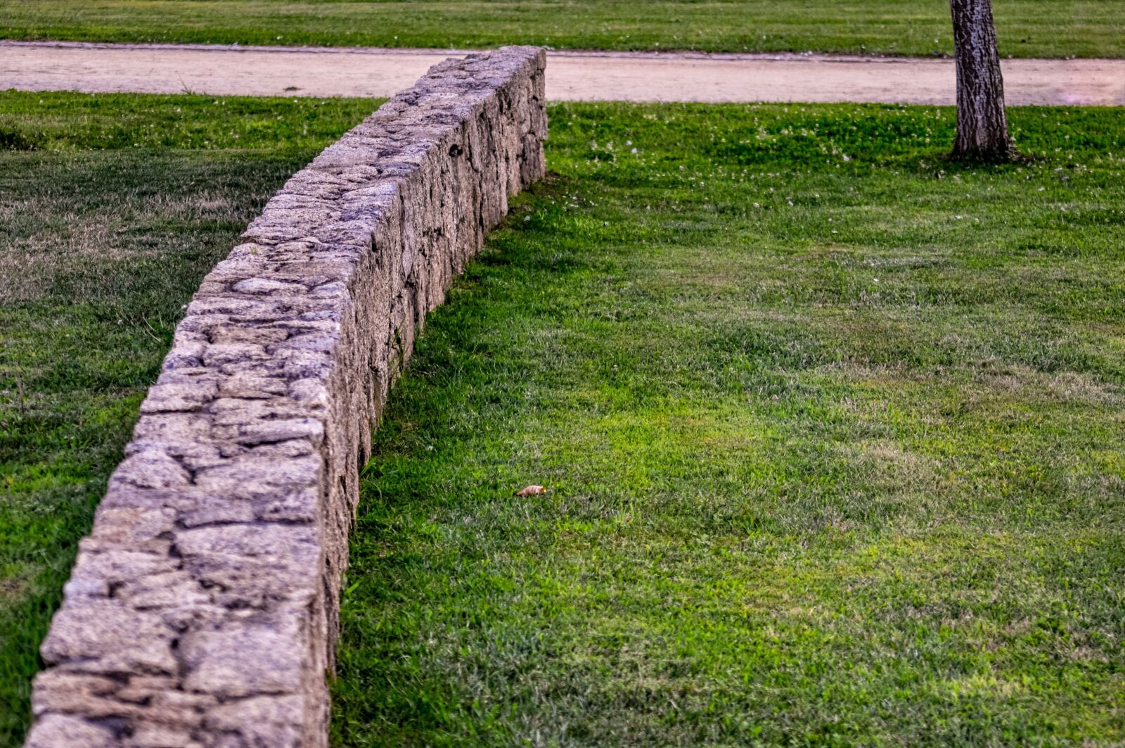 Nikon D90 sample photo. Wall, green, grass photography