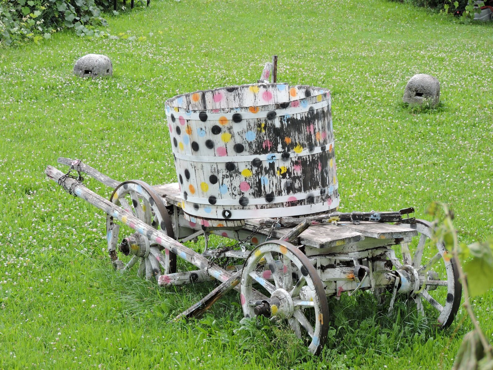 Nikon Coolpix P530 sample photo. Dare, barrel, meadow photography