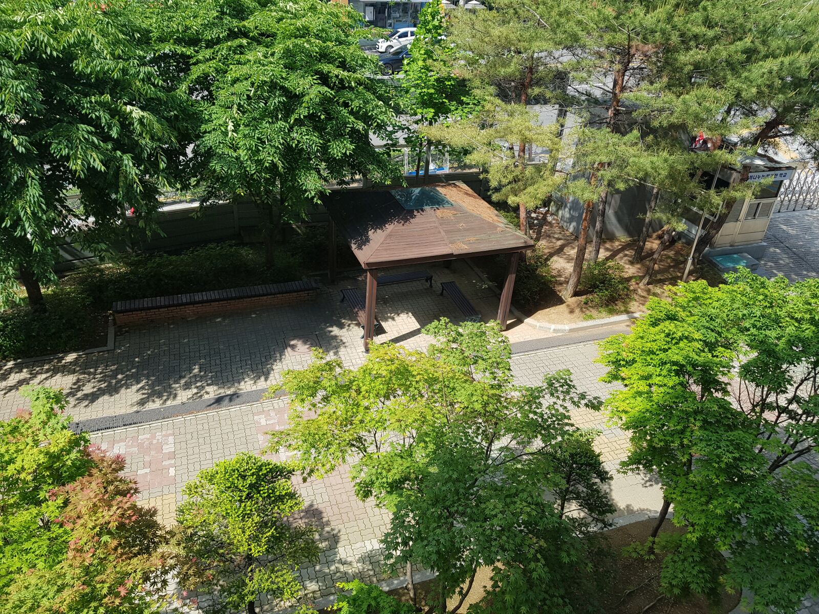 Samsung Galaxy S8+ sample photo. Park, trees, green photography