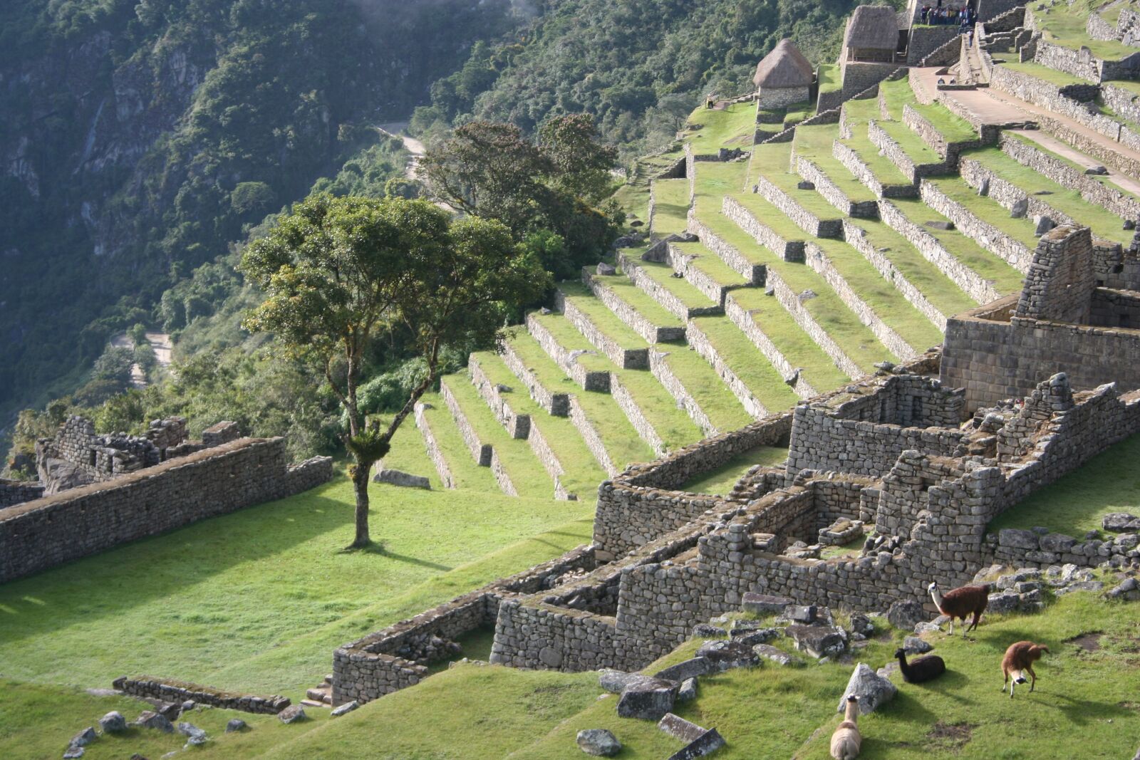 Canon EOS 350D (EOS Digital Rebel XT / EOS Kiss Digital N) sample photo. Peru, inca, trail photography