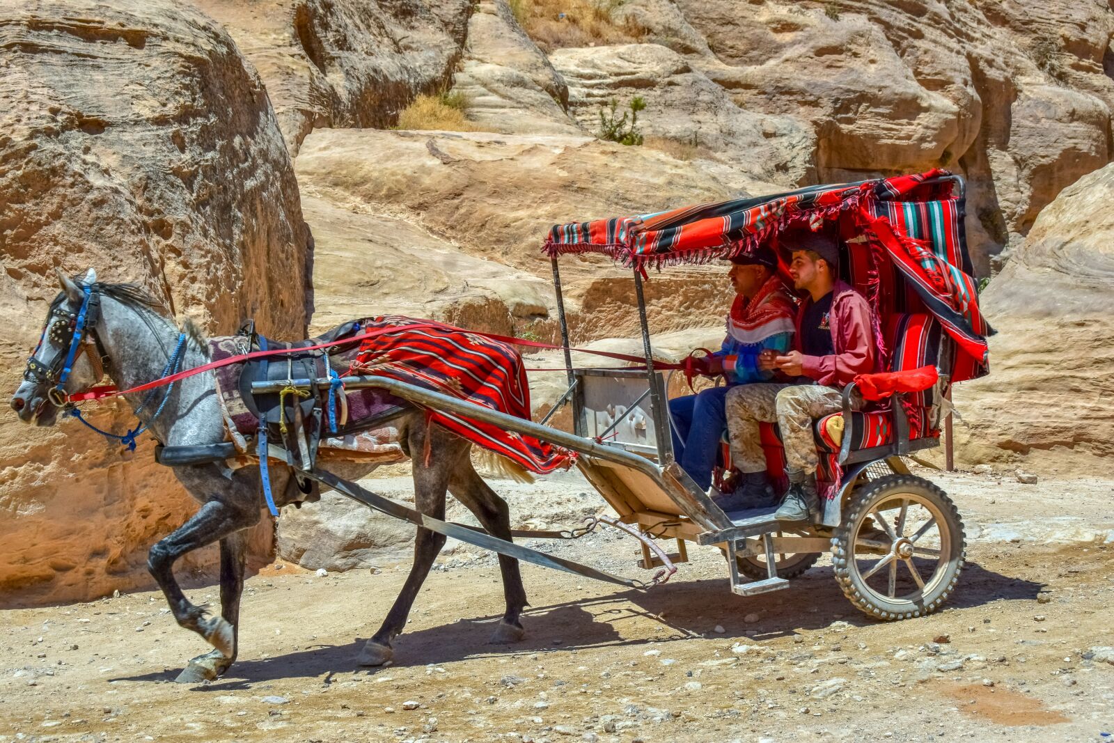 Nikon D3300 sample photo. Coach, carriage, al siq photography