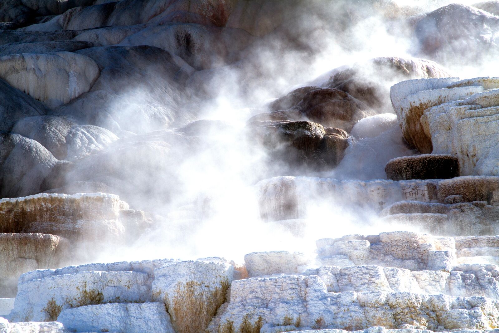 Canon EOS 7D sample photo. Yellowstone national park, wyoming photography