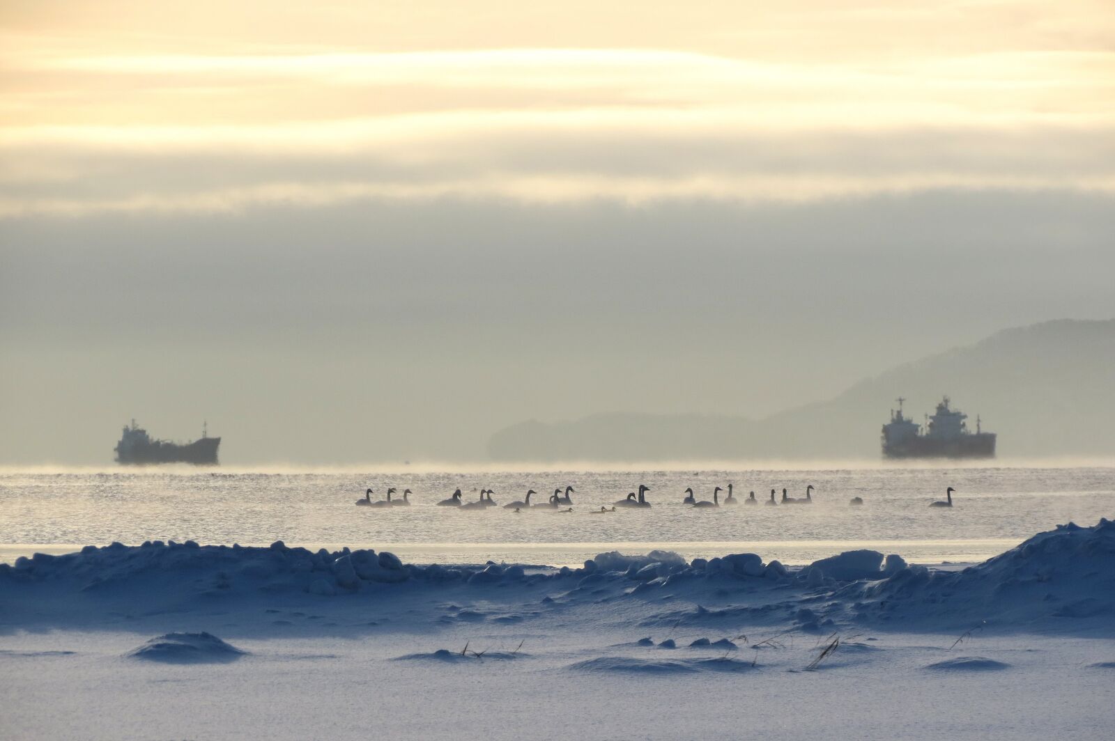 Canon PowerShot SX40 HS sample photo. Kamchatka, bay, ships photography