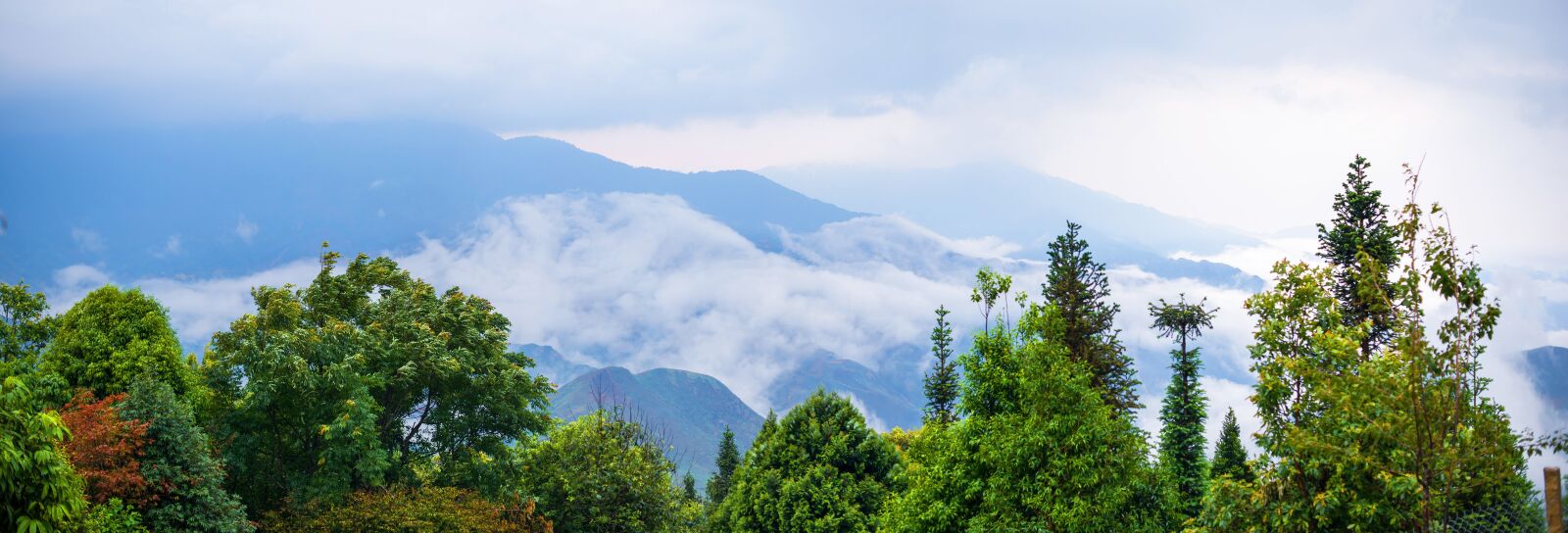 Nikon D610 sample photo. Hill, taxua, bacyen photography