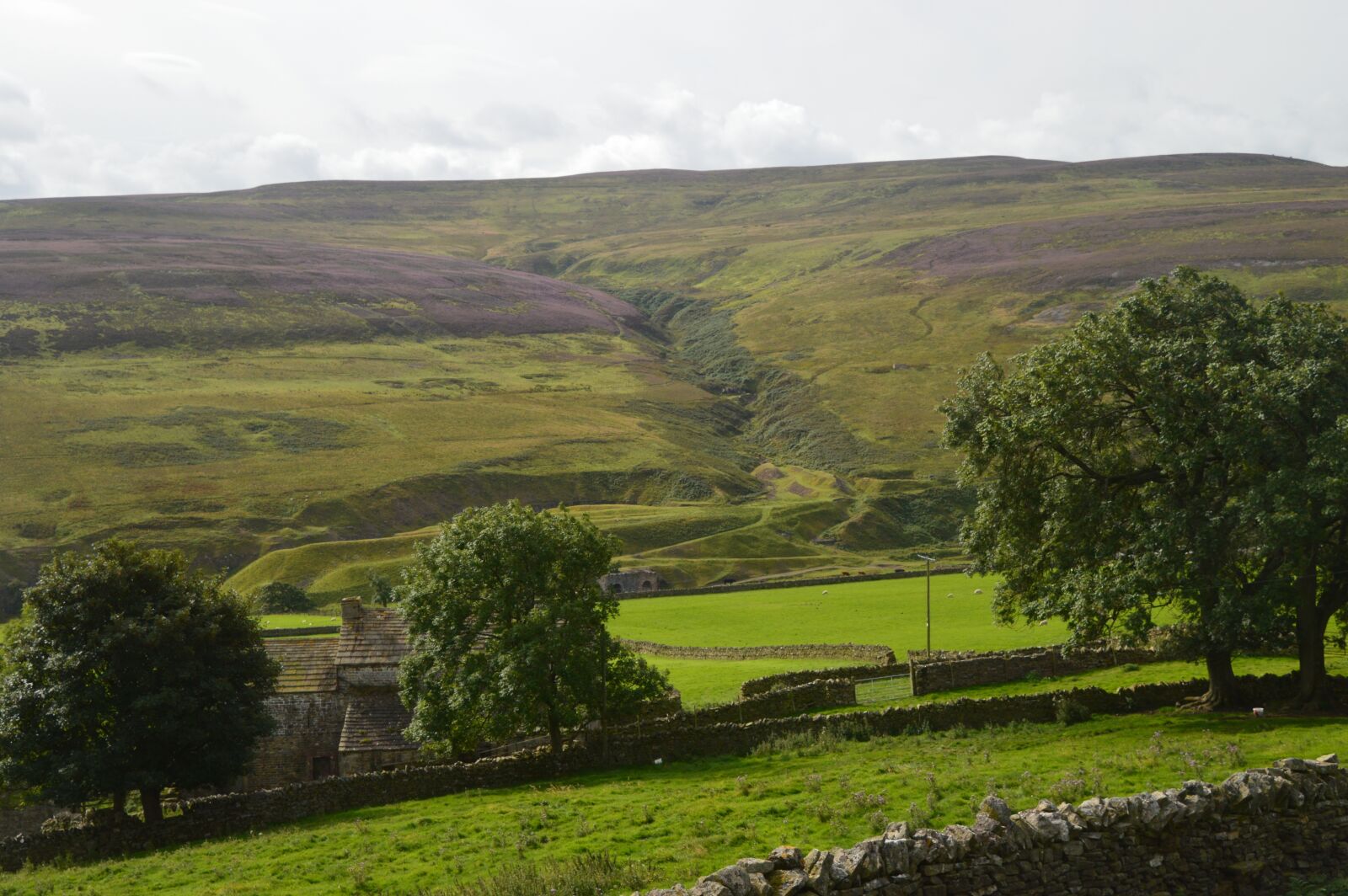 Nikon D3200 sample photo. Dry-stone wall, heather, purple photography