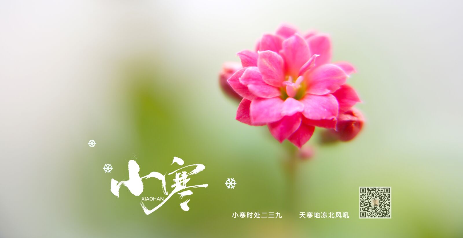 Canon EF 24-70mm F2.8L II USM sample photo. Chinese festivals, china throttle photography