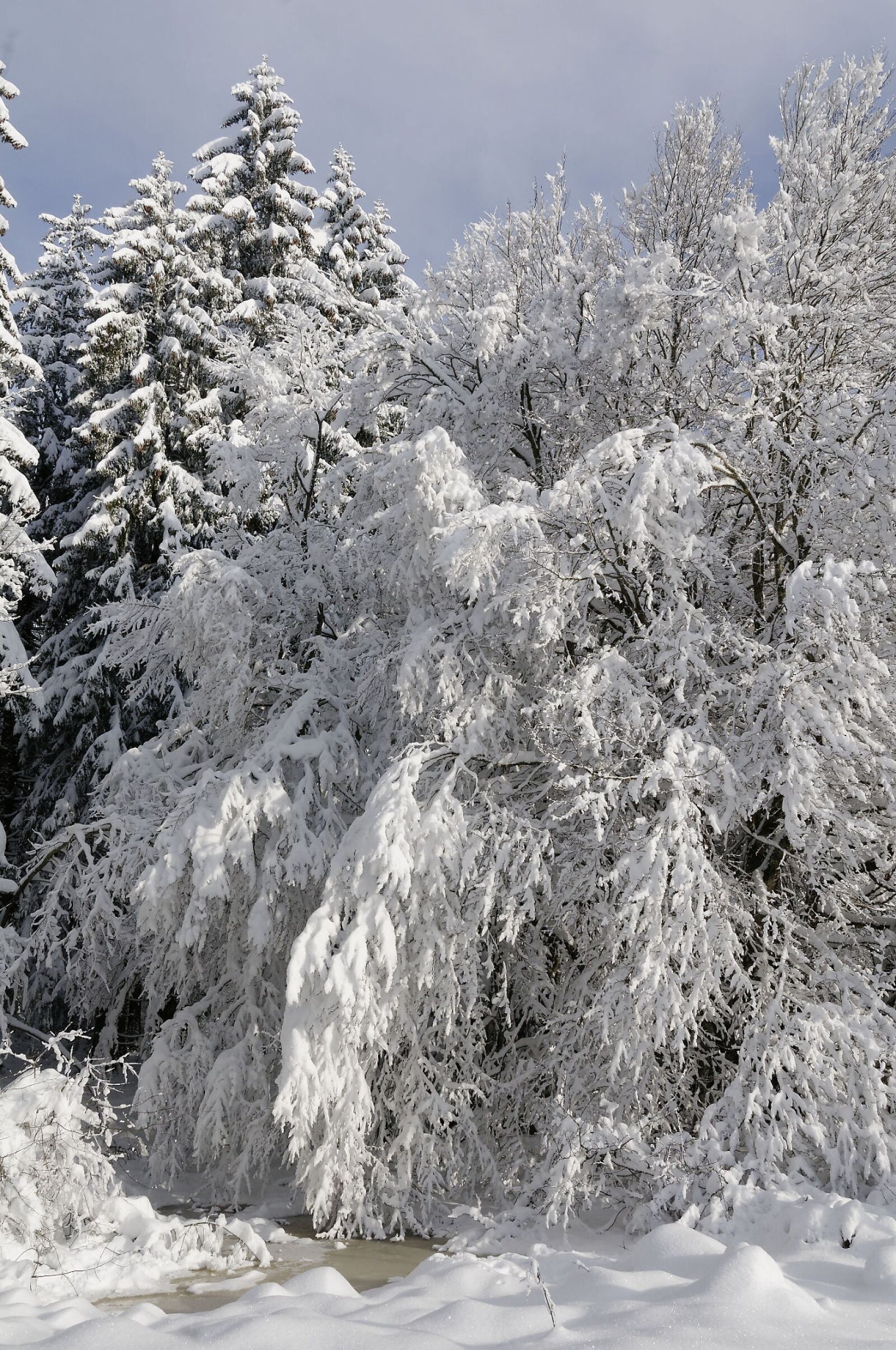 Nikon D300S sample photo. Traces, snow, summit photography
