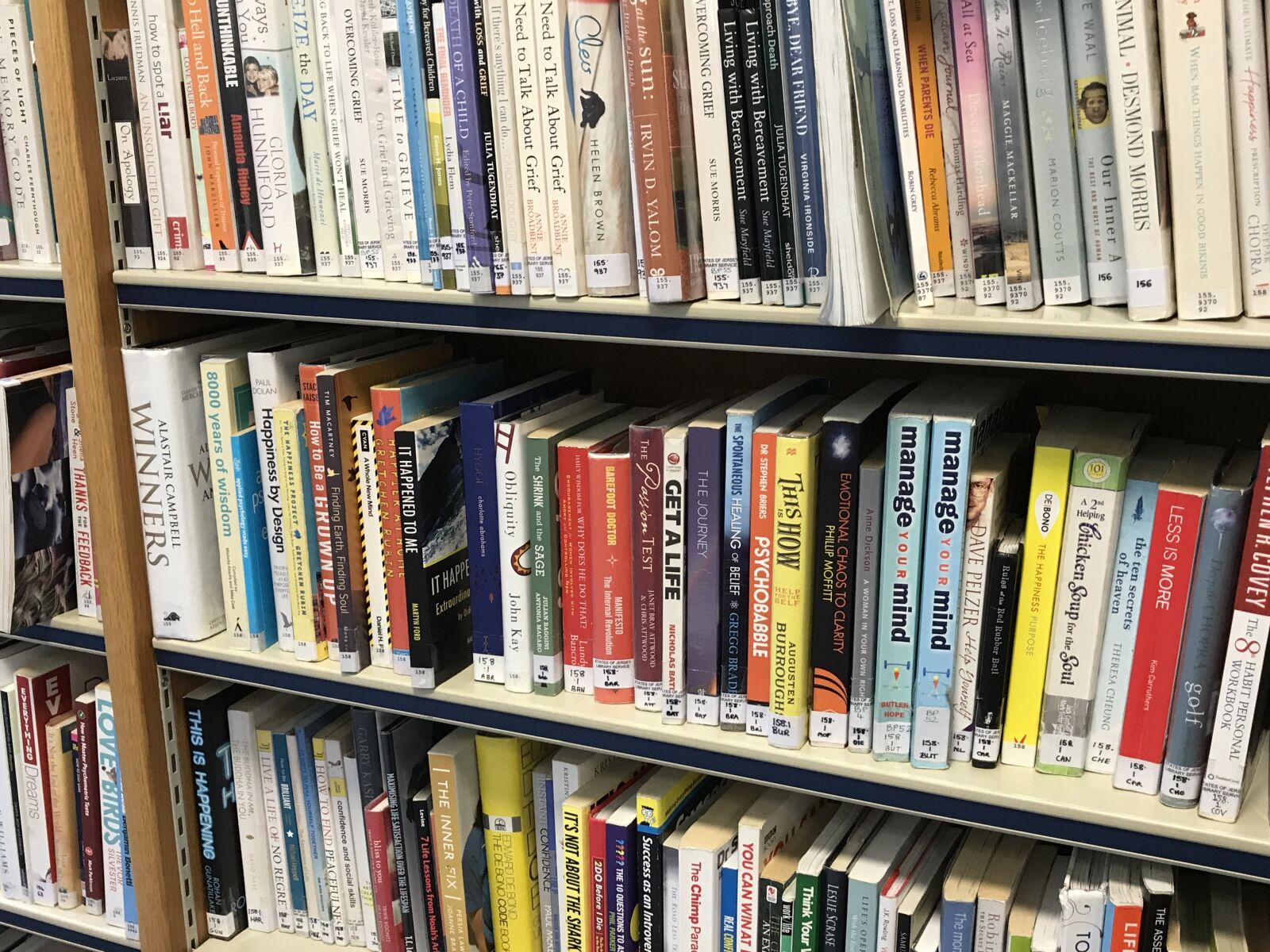 iPhone 7 Plus back dual camera 3.99mm f/1.8 sample photo. Library, books, reading photography