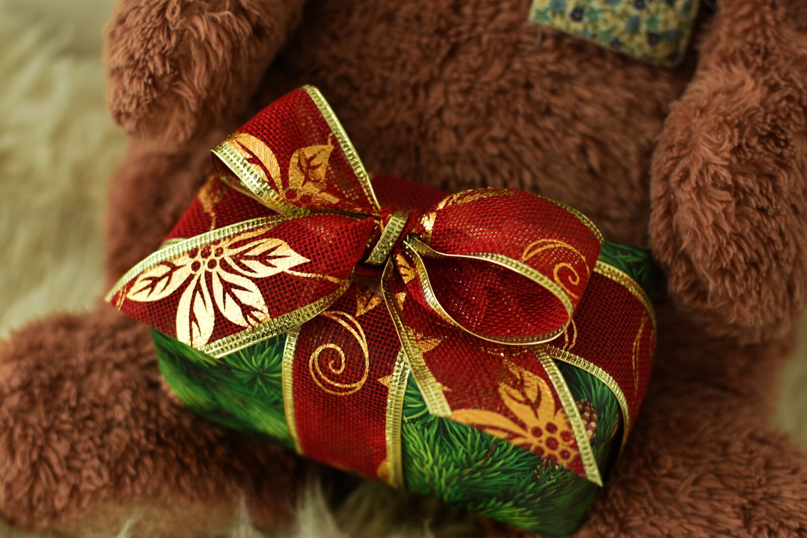 Nikon D3400 sample photo. Toy, bear, christmas photography