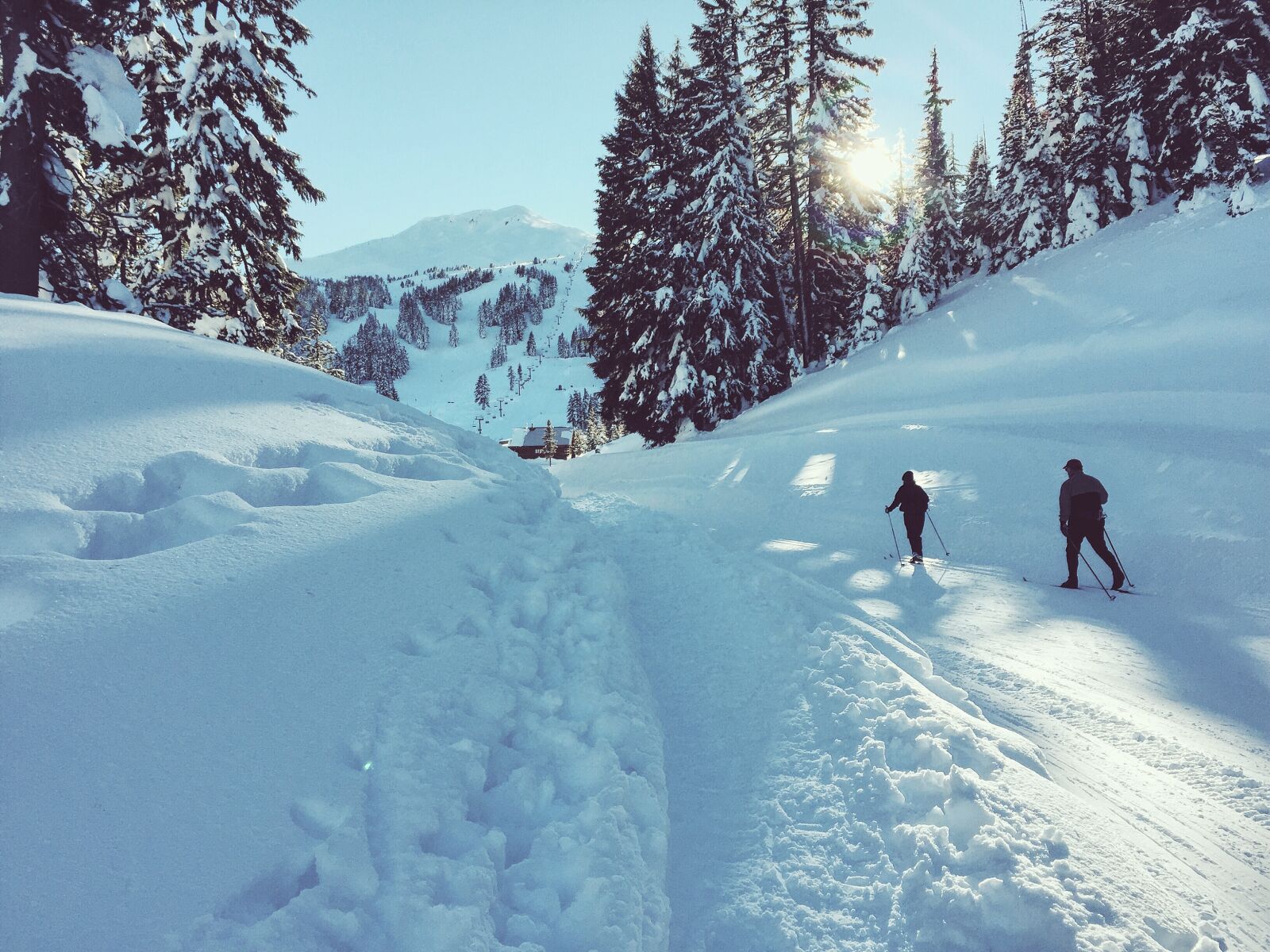 Apple iPhone 6 sample photo. Ski, xcountry ski, nature photography