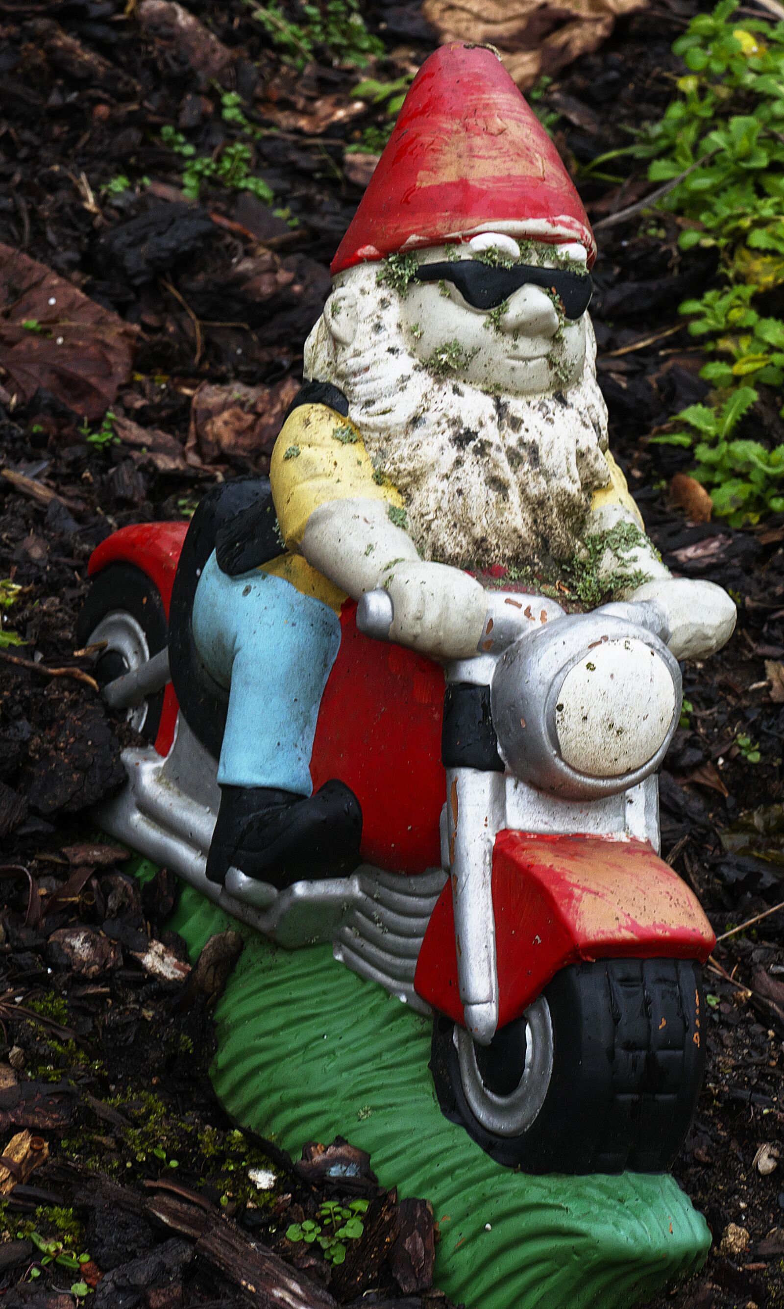 Panasonic Lumix DMC-FZ1000 sample photo. Garden gnome, motorcycle, dwarf photography