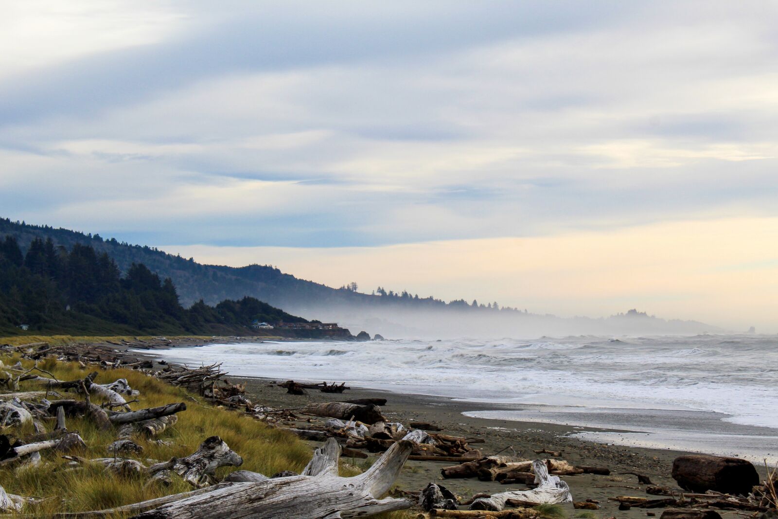 Canon EOS 1300D (EOS Rebel T6 / EOS Kiss X80) sample photo. Seascape, driftwood, mountains photography