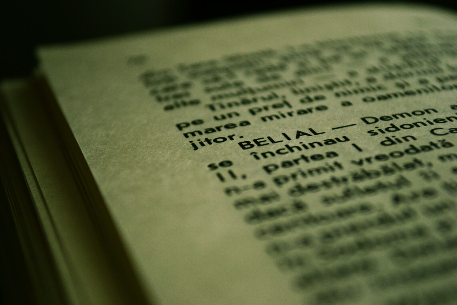 Nikon D3100 sample photo. Belial, black, magic, book photography
