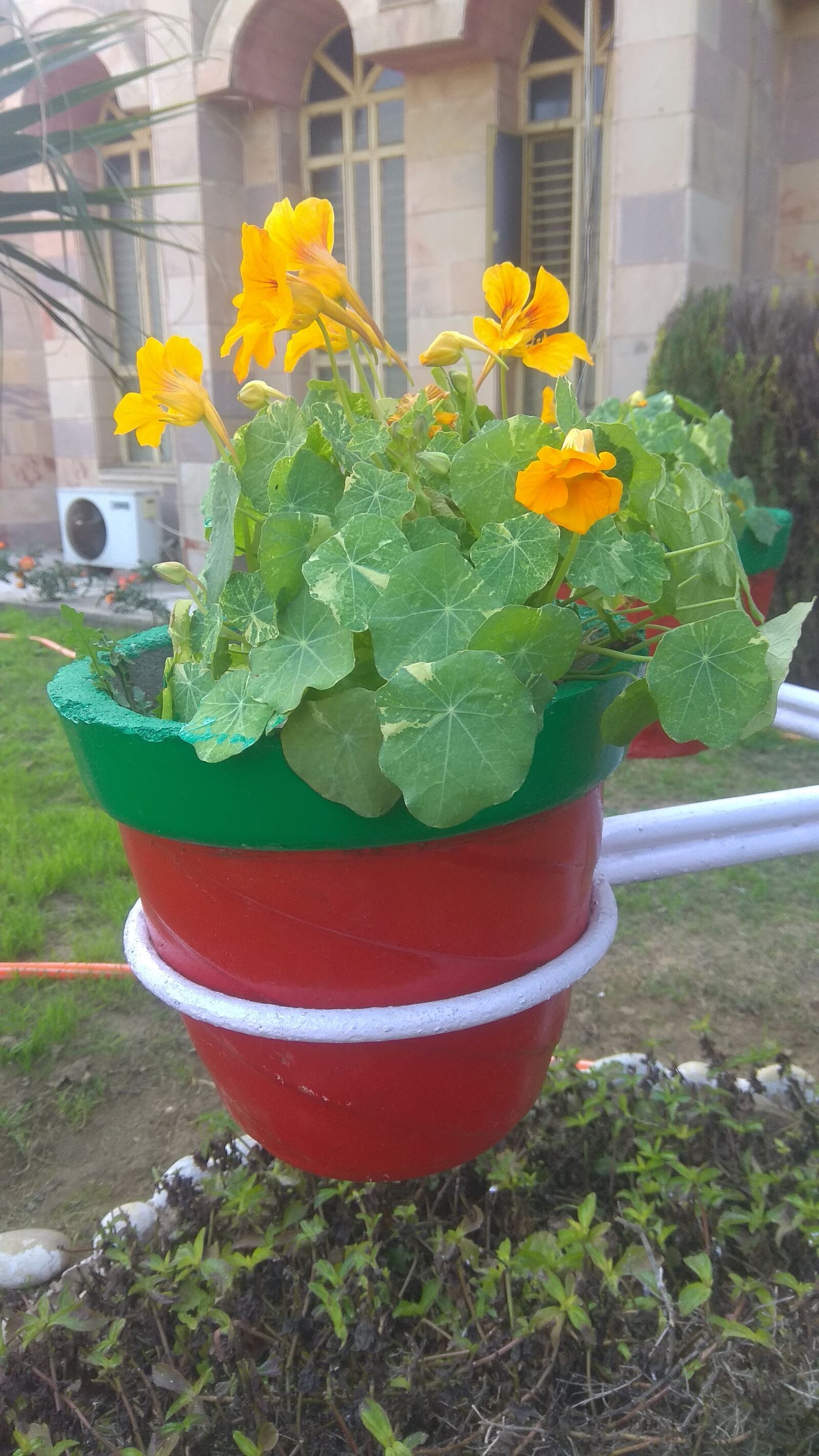 Xiaomi Redmi Note 4 sample photo. Mobile clicks, mobile photography photography