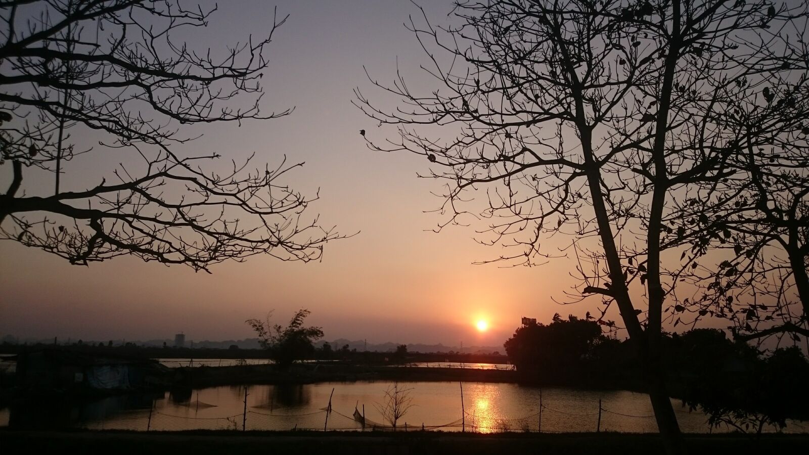 Sony Xperia Z1 sample photo. Landscape, sunset, trees photography
