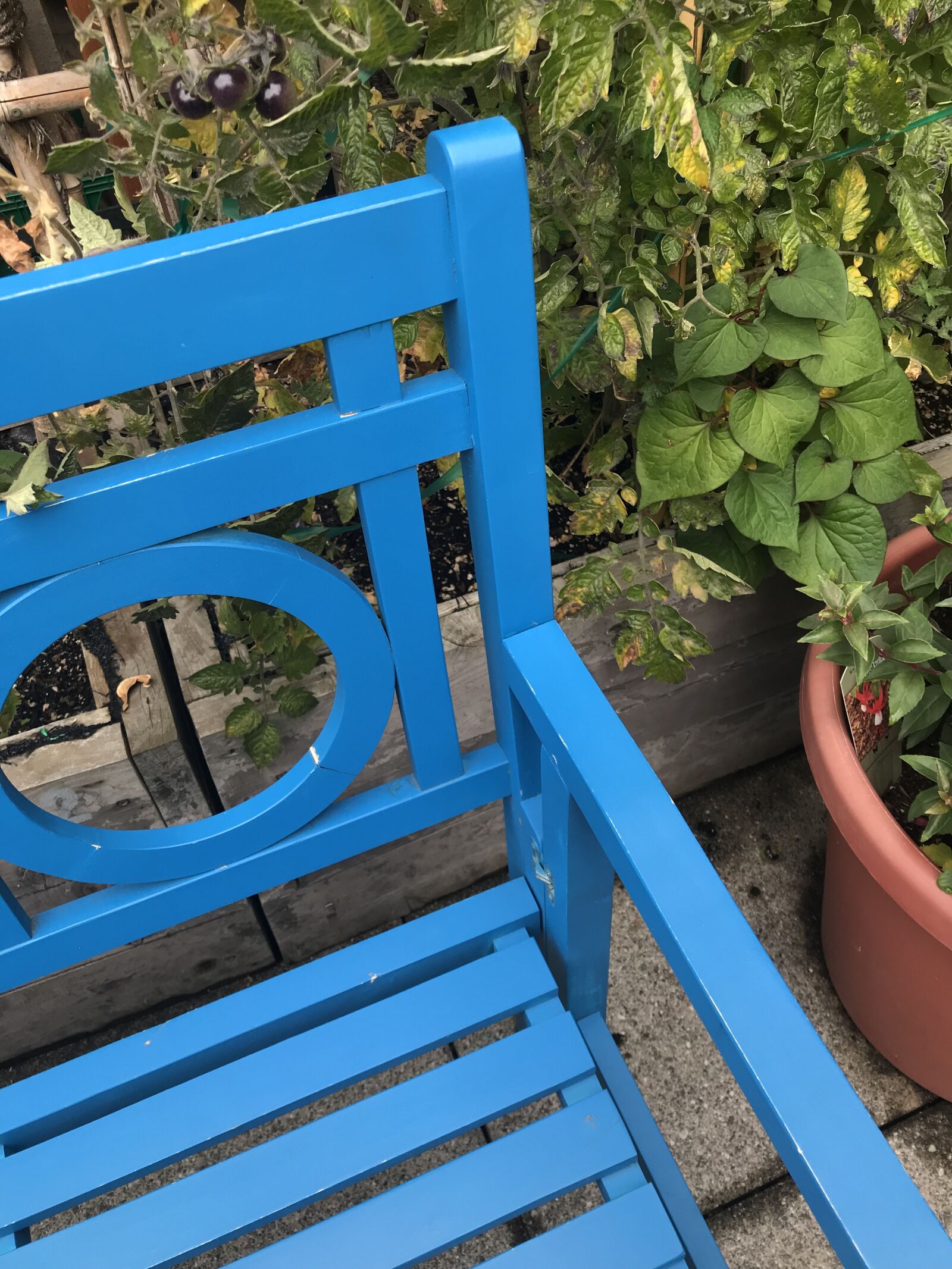 iPhone 7 back camera 3.99mm f/1.8 sample photo. Garden, chair, summer photography