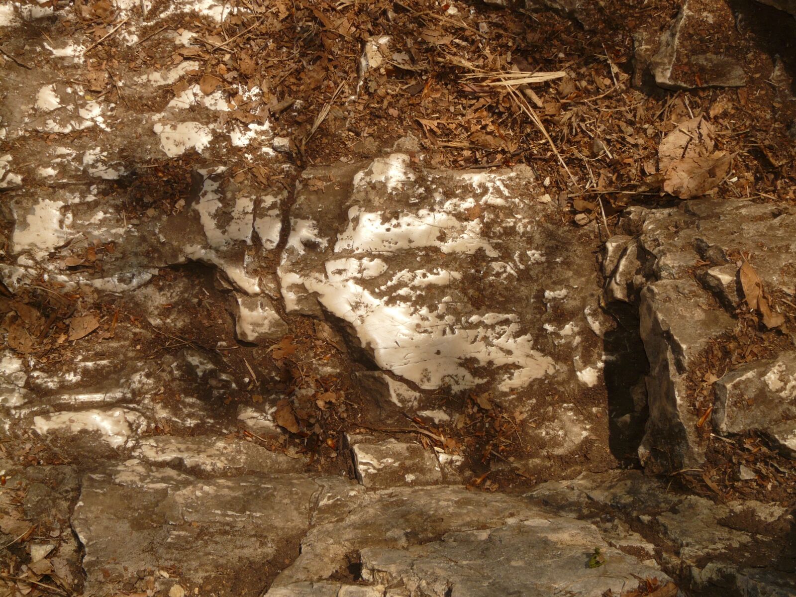 Panasonic DMC-FZ18 sample photo. Rock, stone, greasy photography