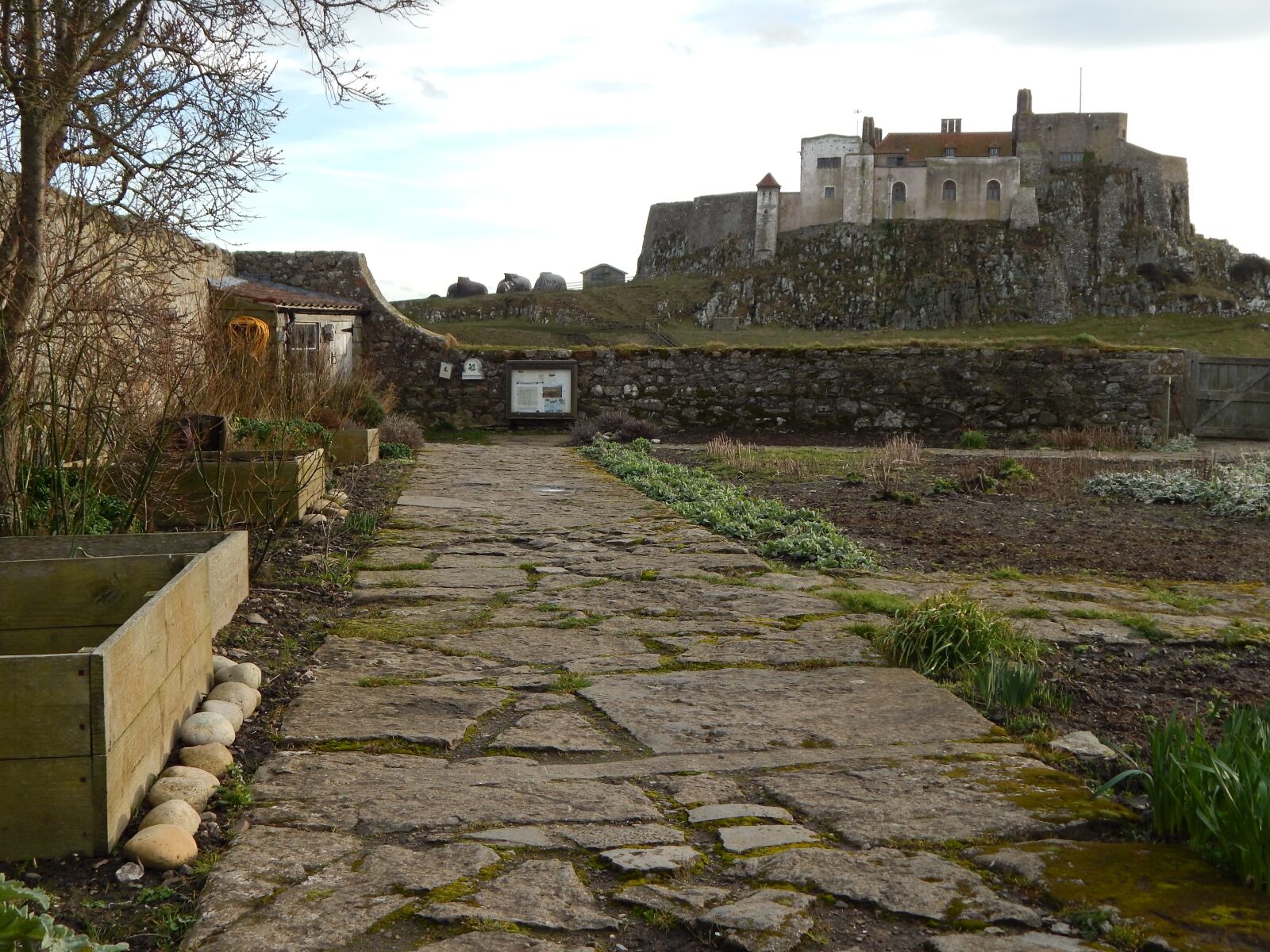 Nikon Coolpix L820 sample photo. Castle, anglesey, uk photography
