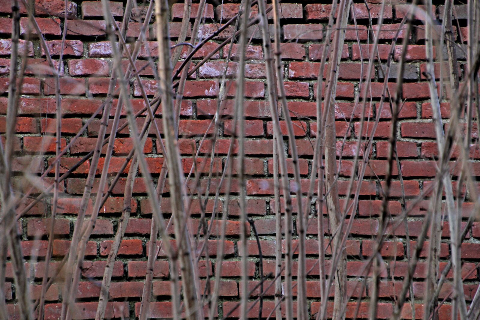 Canon EOS 60D sample photo. Stones, brick, brick wall photography