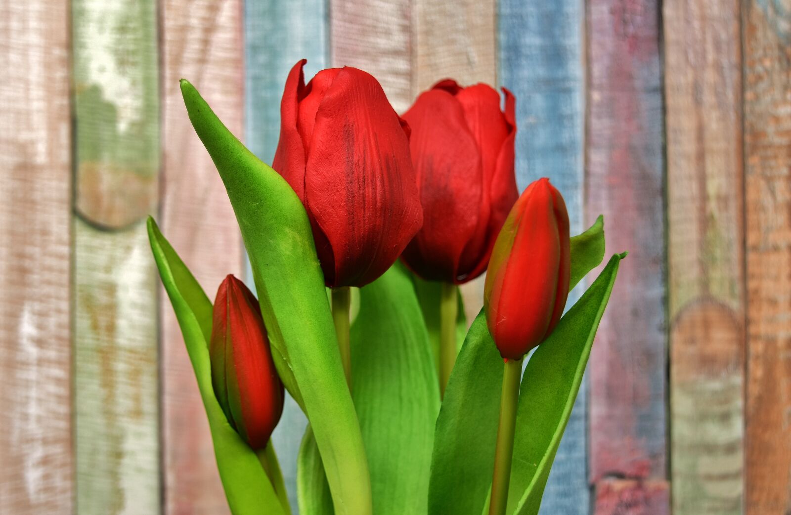 Nikon D7200 sample photo. Tulips, flowers, artificial photography