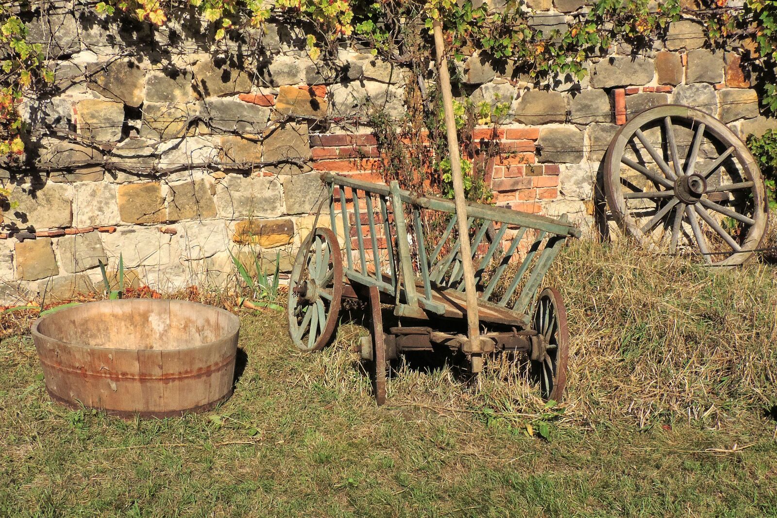 Nikon Coolpix P520 sample photo. Wooden tub, handcart, spoke photography