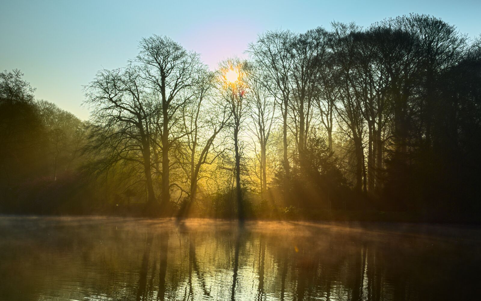 Nikon D600 sample photo. Lake, fog, light photography