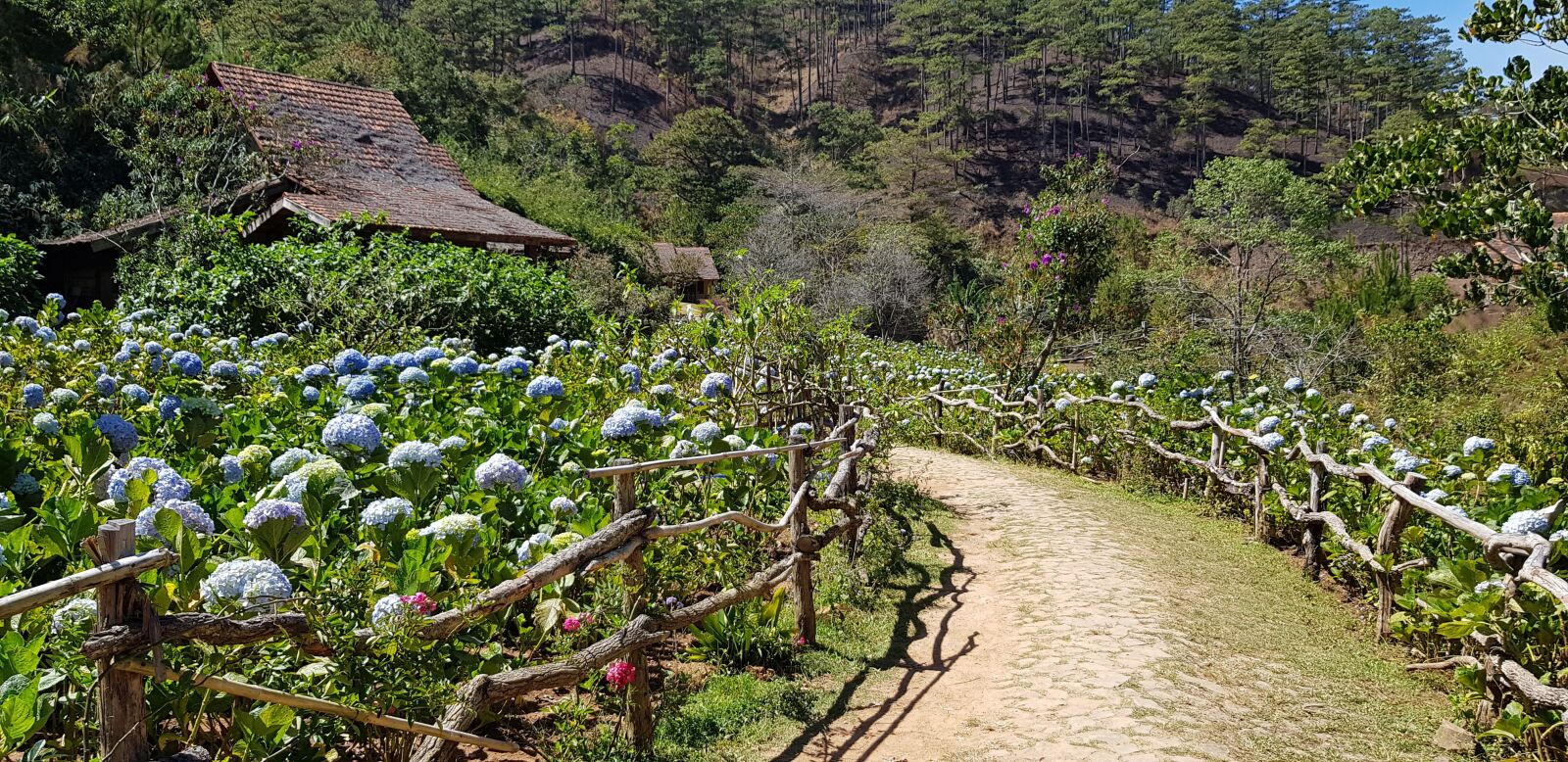 Samsung Galaxy S8+ sample photo. Dalat cu lan village photography