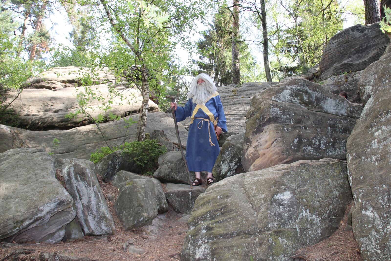 Canon EOS 600D (Rebel EOS T3i / EOS Kiss X5) sample photo. Forest, rock, stones photography