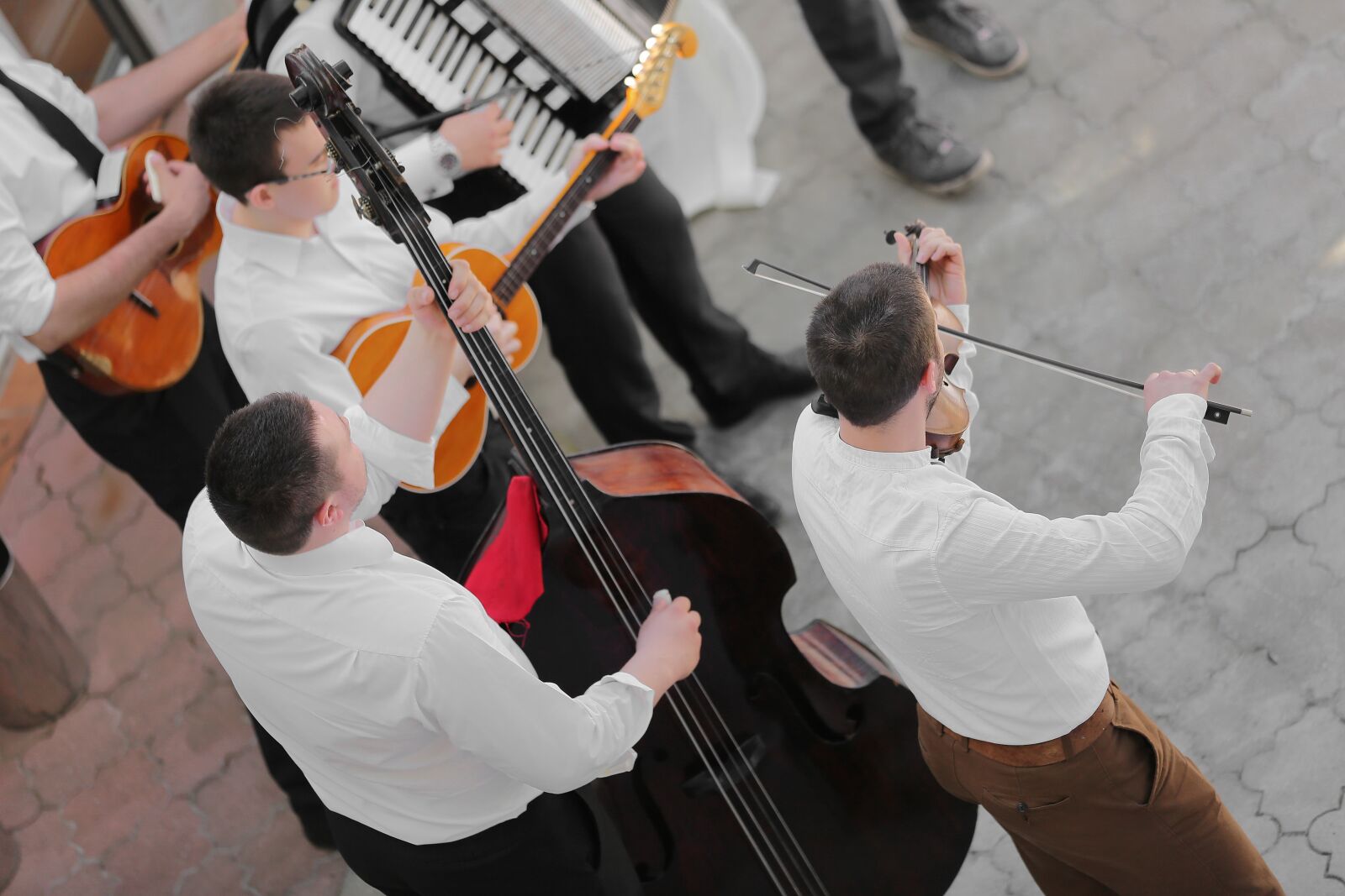 Canon EOS 5D Mark III sample photo. Violin, musician, guitar, orchestra photography