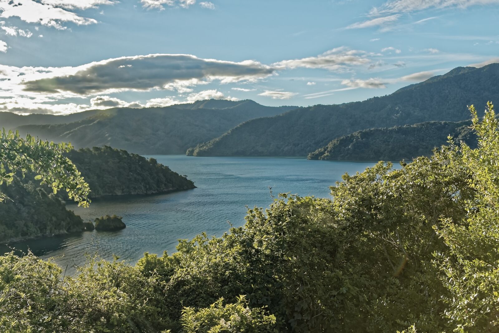 Nikon D500 sample photo. New zealand, ngakuta bay photography