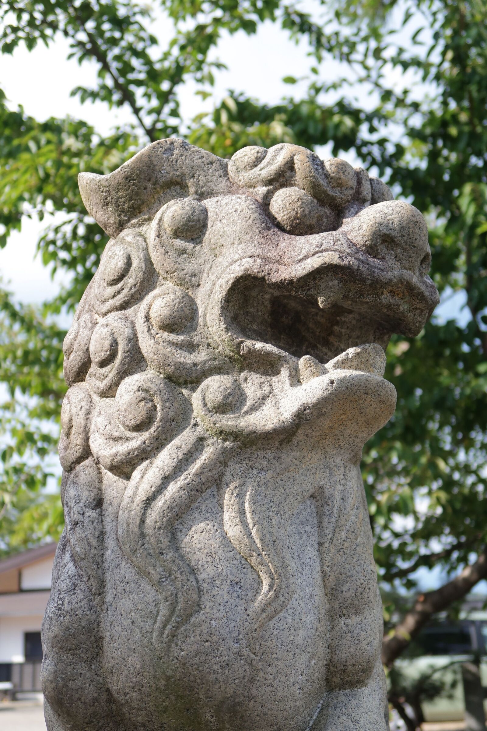 Canon PowerShot G7 X Mark II sample photo. Guardian dogs, stone statues photography